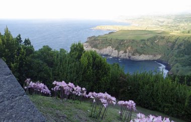 Sao Miguel Adası 'ndaki manzaralı kıyı manzarası