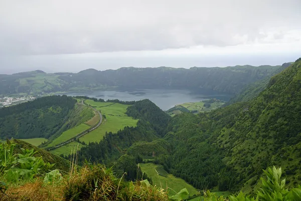 Grüne Natur Auf Den Wunderschönen Azoreninseln — Stockfoto