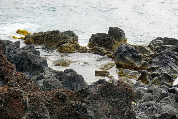 Áspera Costa Nord Salvaje Azores Isla Sao Miguel —  Fotos de Stock