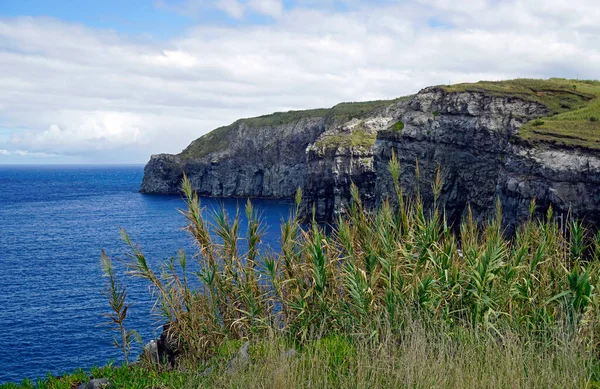 Grüne Landschaft Auf Der Azoren Insel Sao Miguel — Stockfoto