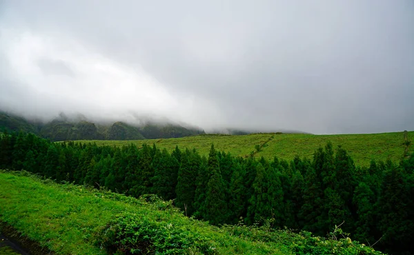 Tierras Cultivo Verdes Las Islas Las Azores —  Fotos de Stock