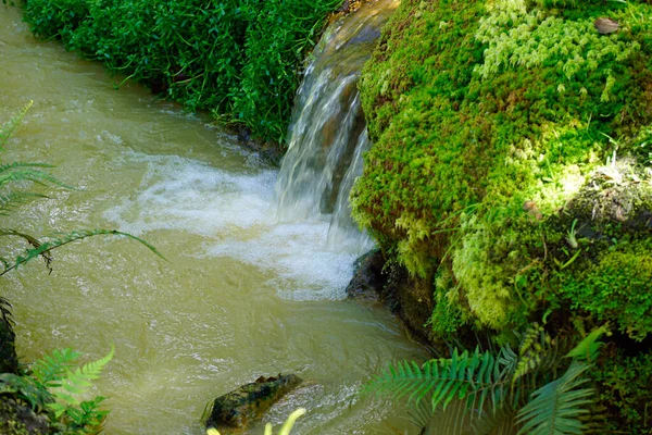 Mały Wodospad Kaskadami Czterech Azorach — Zdjęcie stockowe