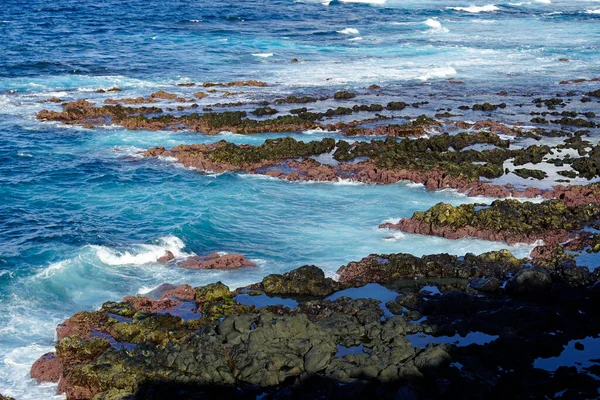 Áspero Selvagem Nord Costa Azores Ilha São Miguel — Fotografia de Stock