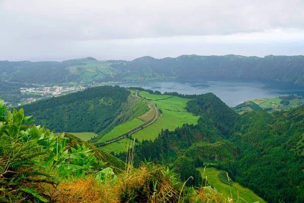 Grüne Natur Auf Den Wunderschönen Azoreninseln — Stockfoto