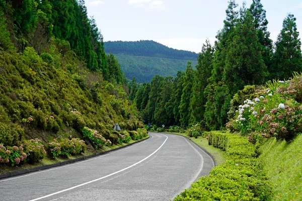 Calle Pública Isla Las Azores Sao Miguel — Foto de Stock