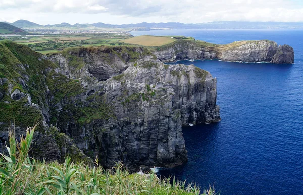 Grönt Landskap Azores Sao Miguel — Stockfoto
