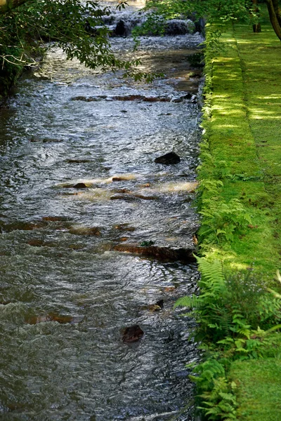 Verde Paesaggio Esotico Sulle Isole Azzorre — Foto Stock