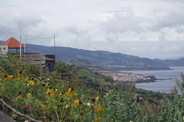 アゾレス諸島の緑の風景 Sao Miguel — ストック写真