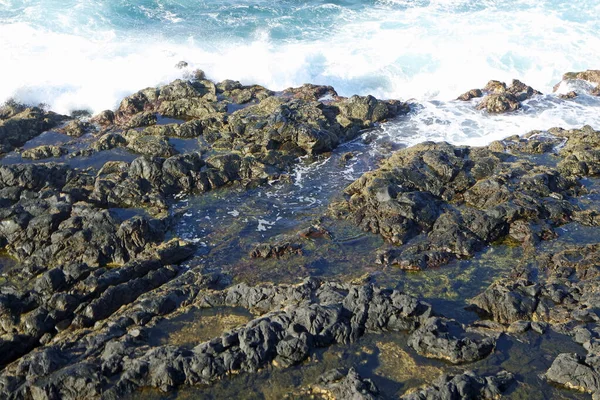 Coasta Sălbatică Nord Insulei Azores Sao Miguel — Fotografie, imagine de stoc