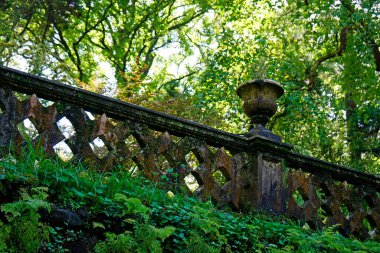 Sao Miguel Adası 'ndaki eski köprüden.