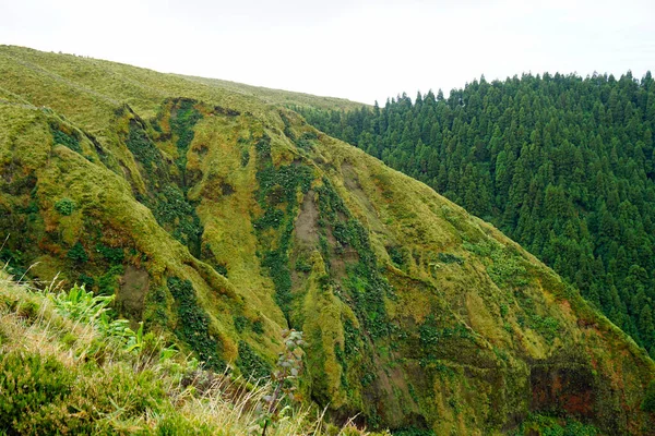 Paysage Montagne Verdoyant Pittoresque Sur Les Îles Des Açores — Photo