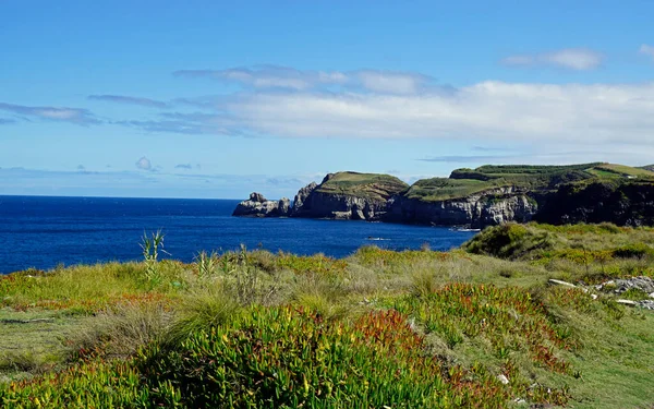 Zöld Táj Azori Szigeteken Sao Miguel — Stock Fotó