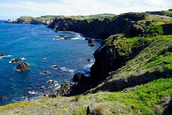 Paysage Vert Sur Île Des Açores Sao Miguel — Photo