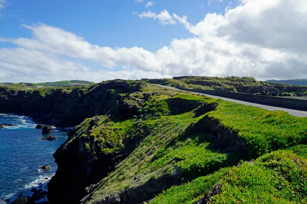 Zelená Krajina Ostrově Azores Sao Miguel — Stock fotografie