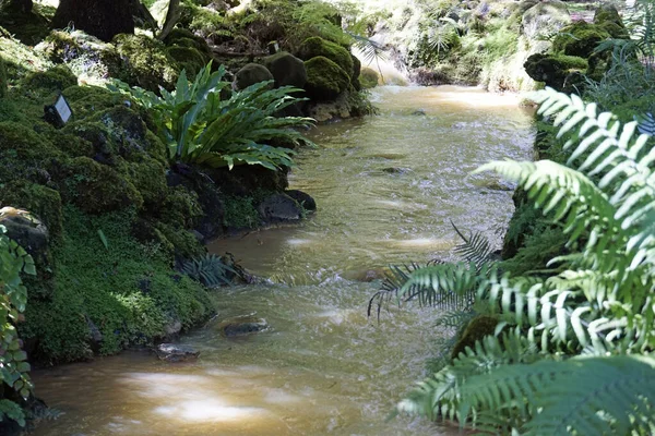 Kleine Waterval Met Watervallen Vierkanten Azores — Stockfoto