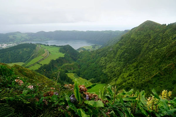 Зелений Пейзаж Острові Азорські Острови Мігель — стокове фото