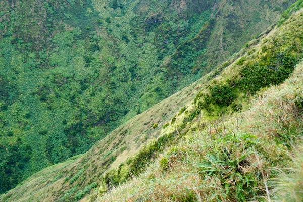 Γραφικό Καταπράσινο Ορεινό Τοπίο Στα Νησιά Αζόρες — Φωτογραφία Αρχείου