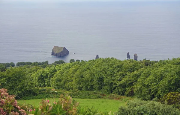 Paysage Vert Sur Île Des Açores Sao Miguel — Photo