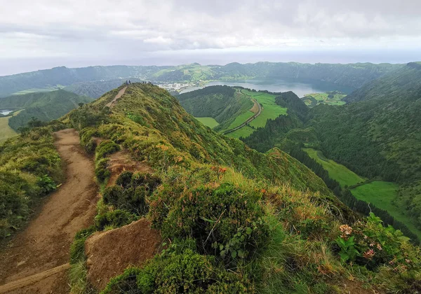 Paisagem Verde Ilha Dos Açores São Miguel — Fotografia de Stock