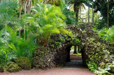 Groto, Azores Adası Sao Miguel 'de.