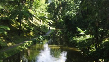 Azerbaycan adalarında yeşil egzotik manzaralar