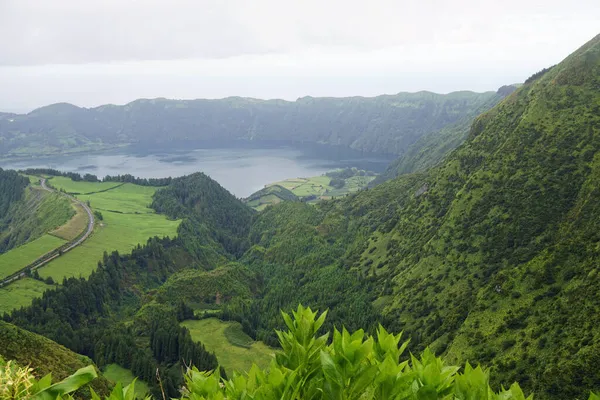 Green Landscape Azores Island Sao Miguel — Stock Photo, Image
