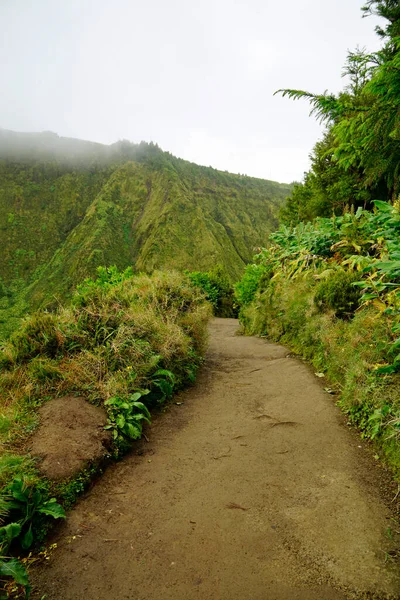 Hiking Trail Cidade Lakes Azores Islands — Stock Photo, Image