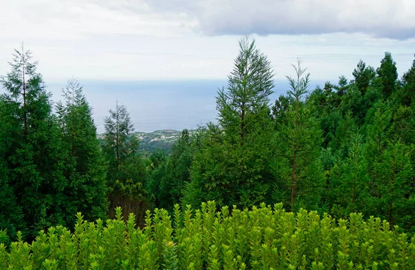 Green Blue Lake Cidade Azores Islands — Stock Photo, Image