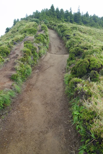 Muddy Path Cidade Lakes Azores Island Sao Miguel — Stock Photo, Image