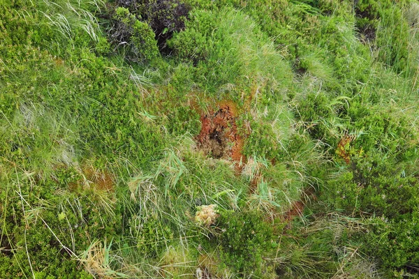 Paisaje Verde Montaña Las Islas Las Azores — Foto de Stock