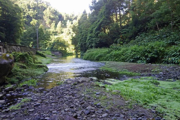 waterfall on the azores island sao miguel