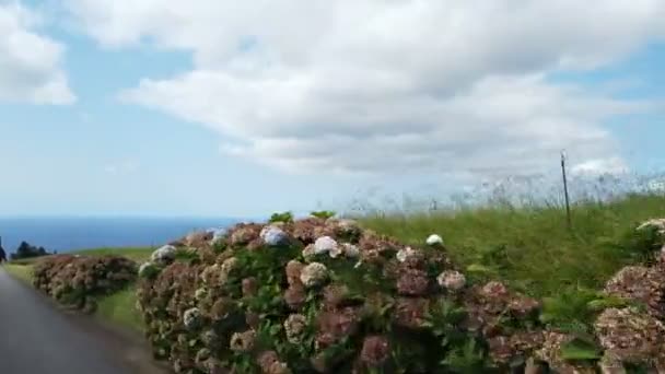 Οδικό Ταξίδι Στο Νησί Azores Sao Miguel — Αρχείο Βίντεο