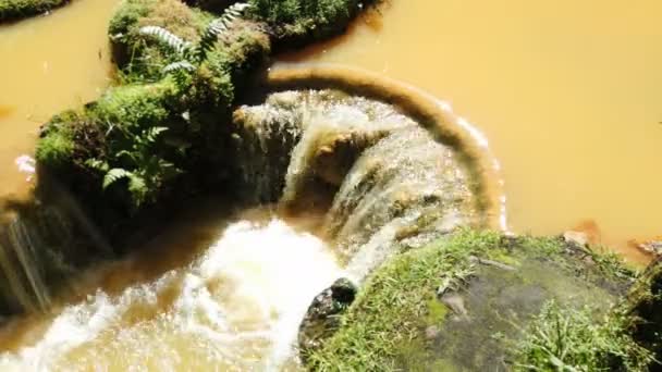 Cascada Pequeña Con Cascadas Cuartas Las Azores — Vídeo de stock