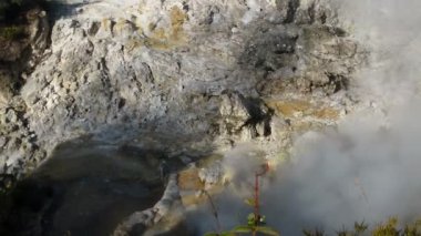 fırınlarda coğrafi pişirme alanı