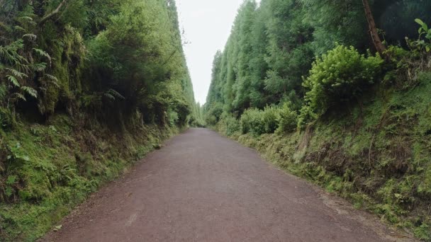 Groen Meer Cidades Gebied Azores Eilanden — Stockvideo