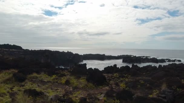 Rough Wild Coast Azores Island Sao Miguel — Stock Video