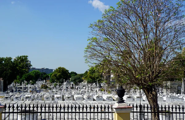 Νεκροταφείο Nekropolis Της Cristobal Colon Στην Αβάνα — Φωτογραφία Αρχείου