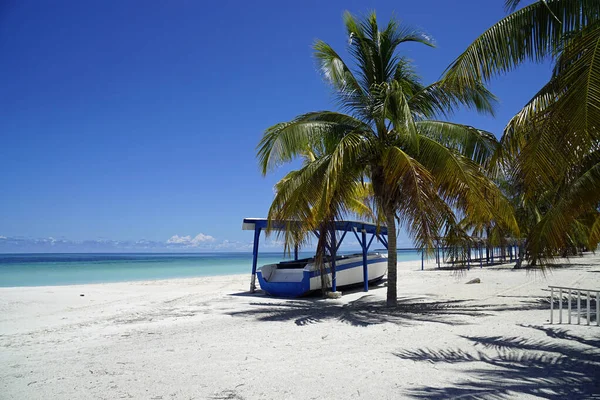 Palmeras Coco Una Isla Tropical Cerca Varedero —  Fotos de Stock