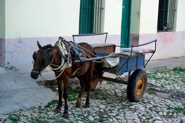 Pferdekutsche Den Straßen Von Trinidad Auf Kuba — Stockfoto