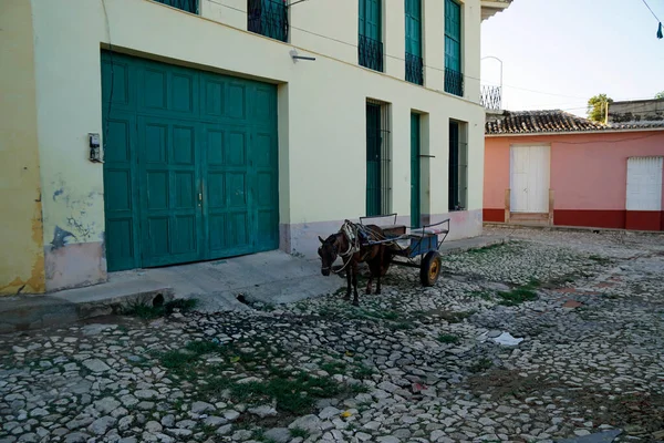 Chariot Cheval Dans Les Rues Trinidad Sur Cuba — Photo