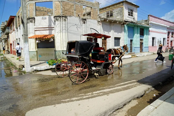 Карденас Куба Приблизно Травень 2022 Року Вулицях Карденас Їздить Кінний — стокове фото