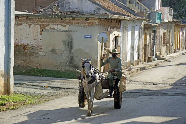 Cardenas, Küba, Mayıs 2022: Cardenas sokaklarında at arabası