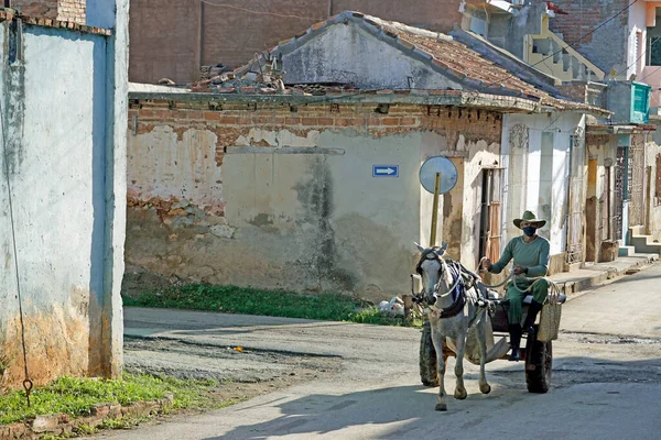 Cardenas Kuba Około Maja 2022 Przewóz Konny Ulicach Cardenas — Zdjęcie stockowe