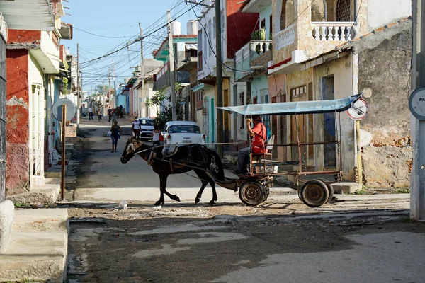 Карденас Куба Приблизно Травень 2022 Року Вулицях Карденас Їздить Кінний — стокове фото
