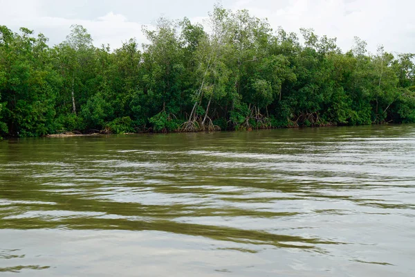 Sungai Iguamo Yang Indah Republik Dominika — Stok Foto