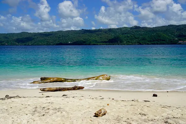 Экзотический Карибский Остров Cayo Levantado Доминиканской Республике — стоковое фото
