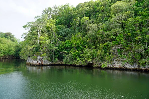 Isla Aves Verdes Parque Nacional Los Haitises República Dominicana — Foto de Stock