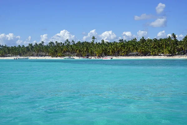 Exotische Tropische Insel Saona Der Dominikanischen Republik — Stockfoto