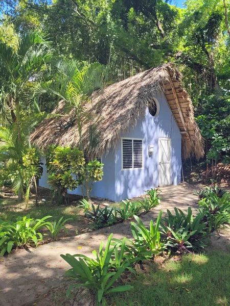 Small Wooden Hut Cayo Levantado Island — Stock Photo, Image