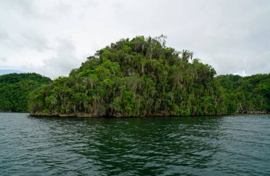 Dominik Cumhuriyeti 'ndeki Los Haitises Ulusal Parkı' ndaki yeşil kuş adası.